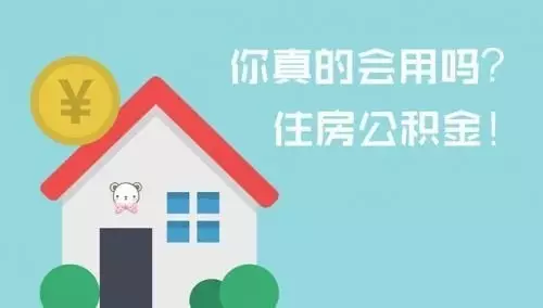 家属回应韦东奕健康状态，透视公众人物健康关注新趋势